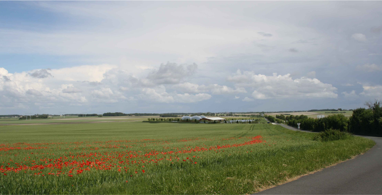 photosite